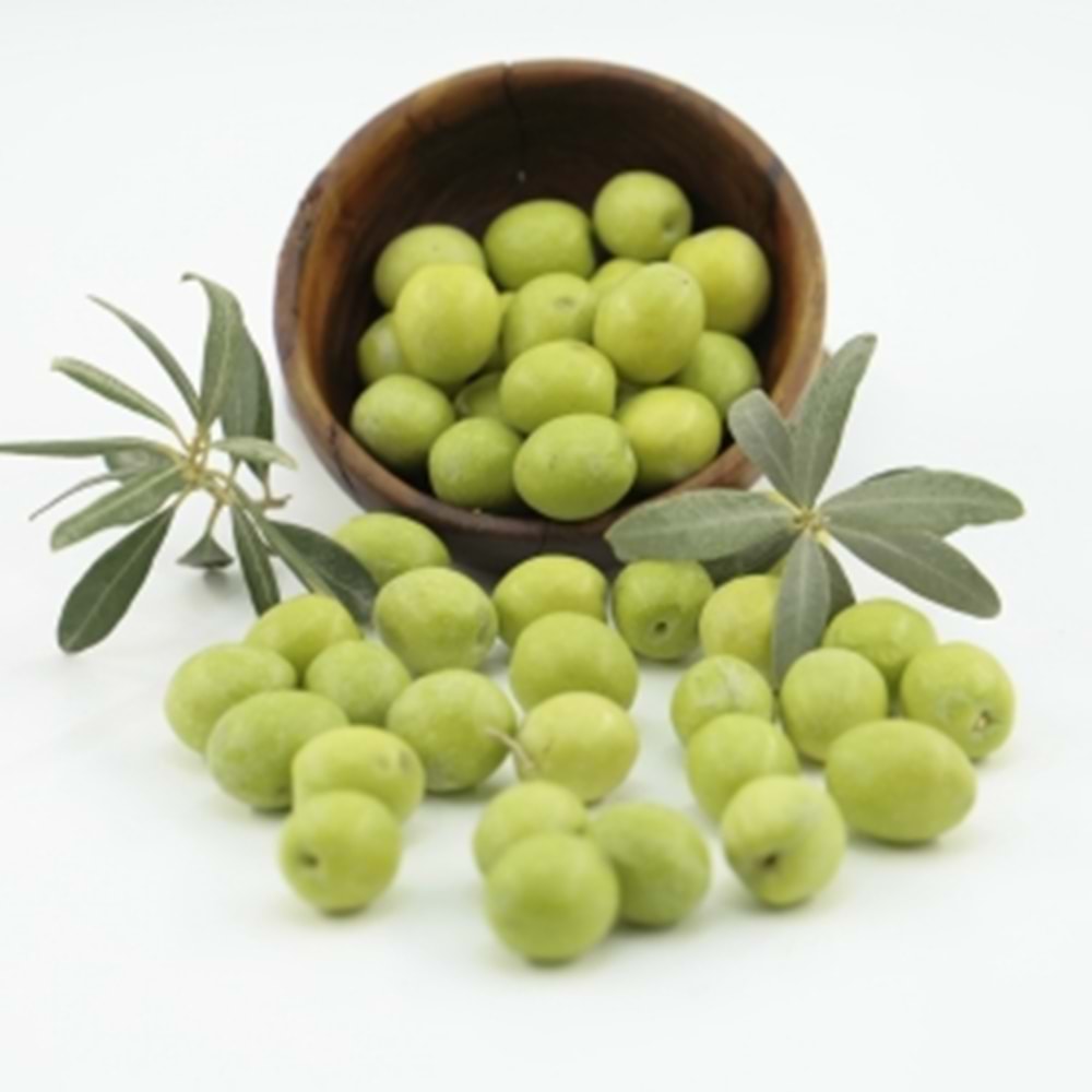 Yeni Hasat Taze Kırmalık Gemlik Yeşil Zeytin 3 Kg