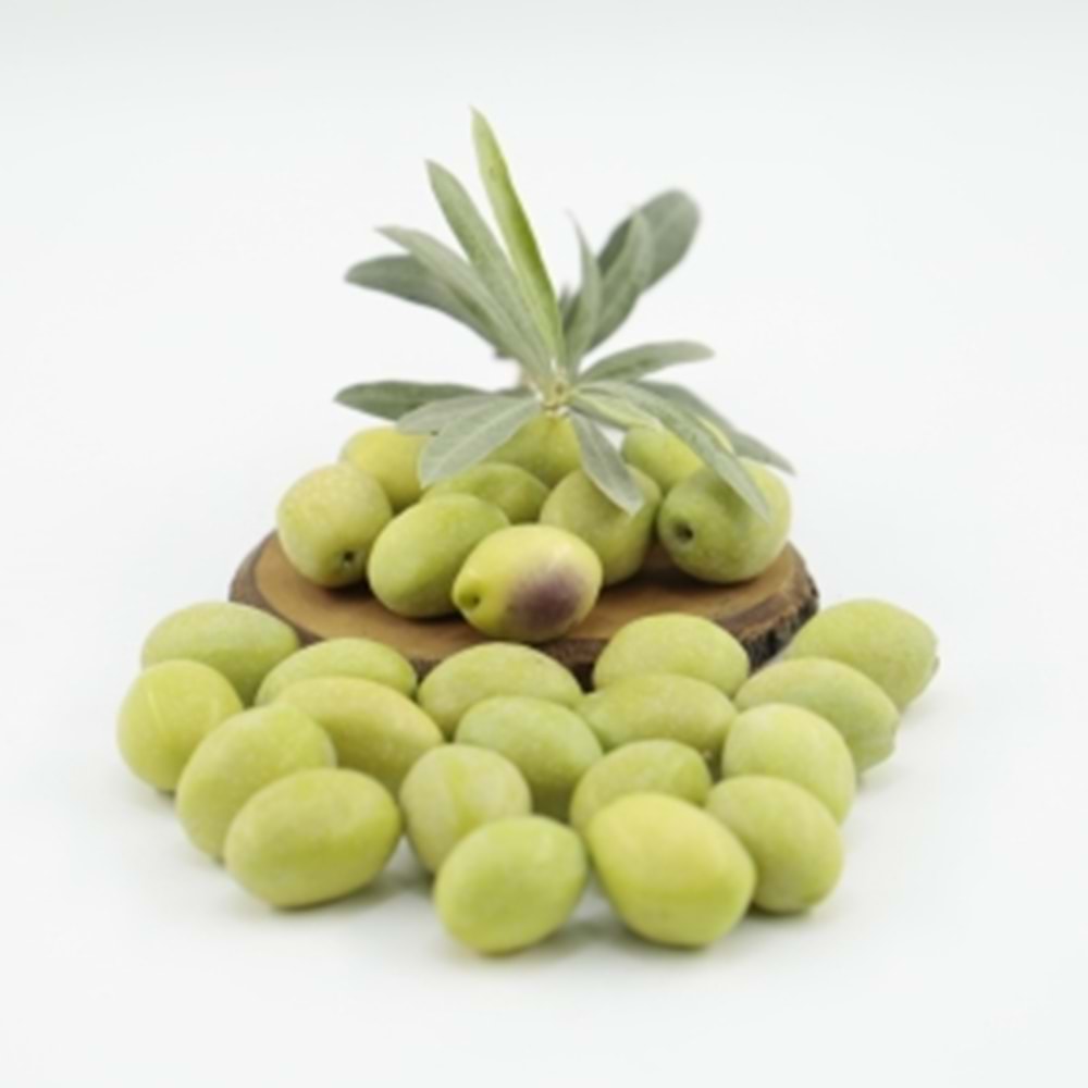 Yeni Hasat Taze Kırmalık Domat Yeşil Zeytin 3 Kg