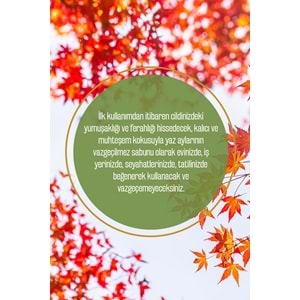 Olivos Zeytinyağlı Büyülü Yapraklar Sıvı Sabun 500 Ml